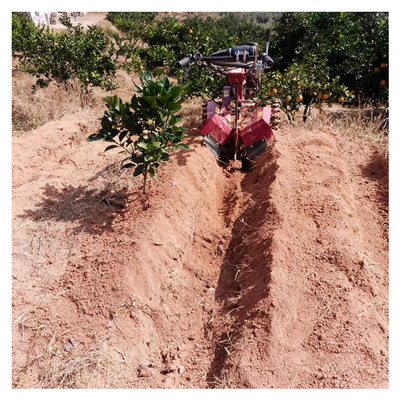 145*62*85cm Orchard 관리에 대한 강력한 가솔린 엔진 Orchard Tiller Weeder