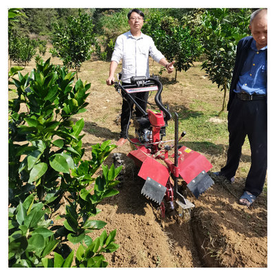 145*62*85cm Orchard 관리에 대한 강력한 가솔린 엔진 Orchard Tiller Weeder