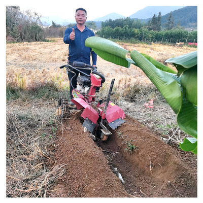 145*62*85cm Orchard 관리에 대한 강력한 가솔린 엔진 Orchard Tiller Weeder