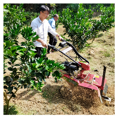 145*62*85cm Orchard 관리에 대한 강력한 가솔린 엔진 Orchard Tiller Weeder