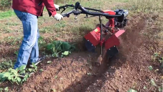 7HP 가솔린 엔진 70cm 넓은 잡초 응용 프로그램을위한 핸드 홀드 잡초 기계
