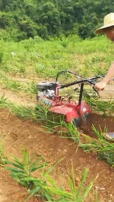 수동 추진 5HP / 6HP / 7HP 소형 포도원 틸러 재배기 과수원 틸링 요구 사항
