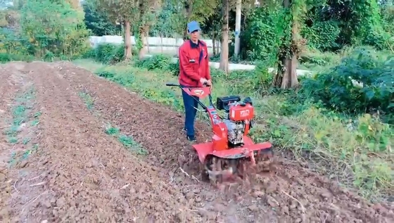 정원 7HP 미니 틸러 농장 재배기 최대 생산성을 위해 4KM / H의 작업 속도