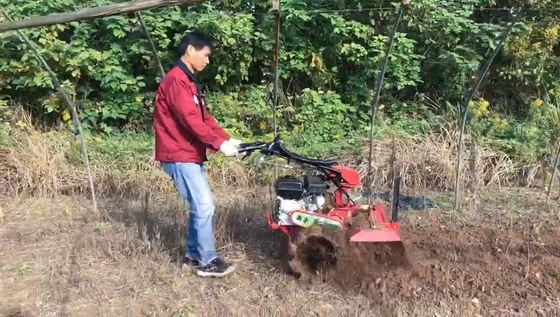 가솔린을 쉽게 사용할 수 있는 다목적 리저 기계 농장