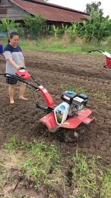 다기능 4KW / 5KW 가솔린 파디 위더 로터리 틸러 강력한 성능