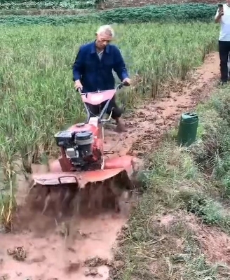 저렴한 디젤 엔진 소형 파워 틸러 가정에서 잡초를 잡기 옵션 기능