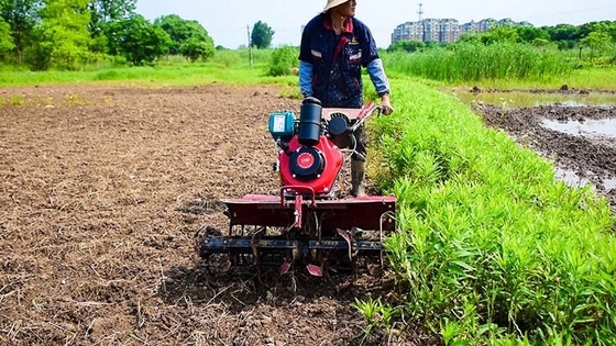 4KW 높은 안전 수준 다기능 농업 기계 가솔린 엔진 4WD 170f 미니 틸러