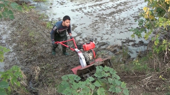 4KW 짧은 모델 173f 지속가능한 농업을 위한 디젤 엔진 파워 틸러