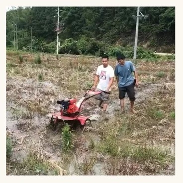가솔린 미니 파워 틸러 로터리 틸러 가볍고 65KG 부하 용량
