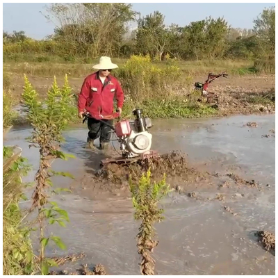 186F 4WD 농업 기계 장비의 단단한 토지 농업을 위한 다목적 틸러