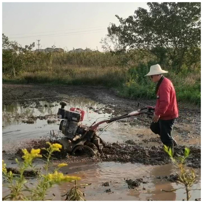 186F 4WD 농업 기계 장비의 단단한 토지 농업을 위한 다목적 틸러