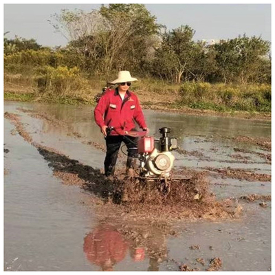 186F 4WD 농업 기계 장비의 단단한 토지 농업을 위한 다목적 틸러