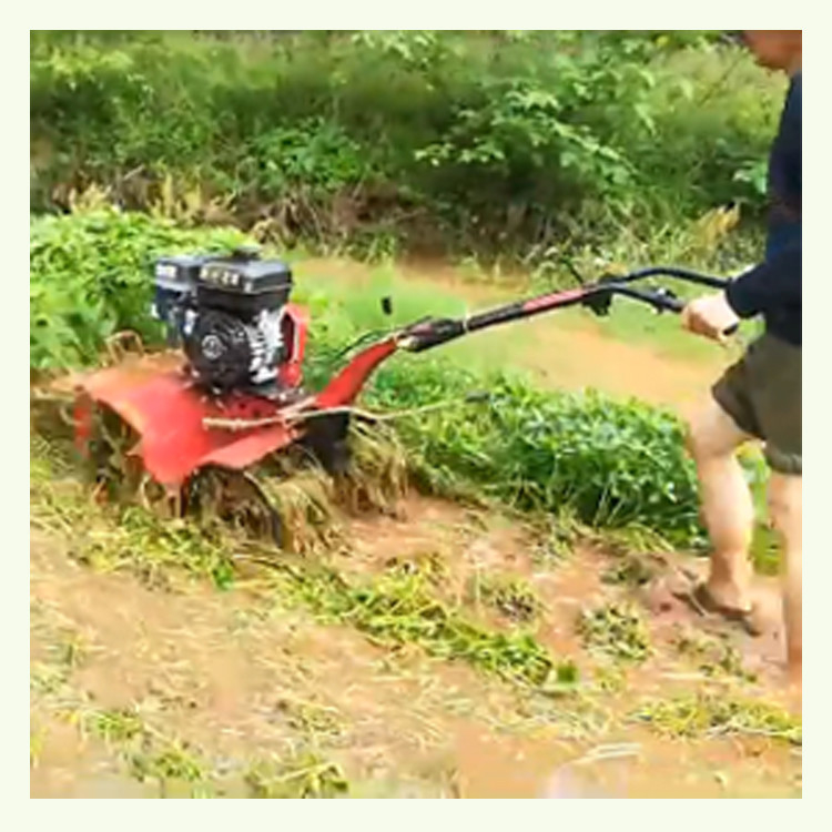 170F 7HP 4.05KW 기어 변속기 수동 시작 높은 안전 수준으로 미니 파워 틸러